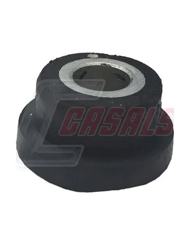 CASALS80302