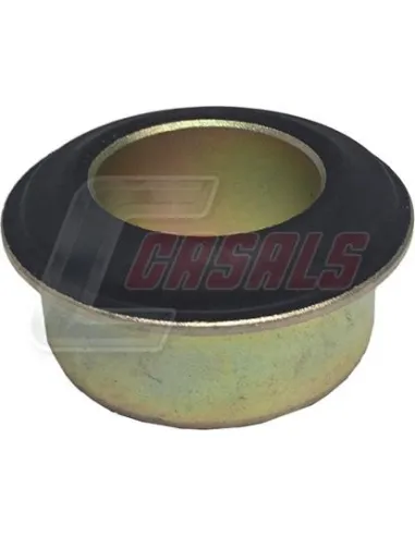 CASALS80311