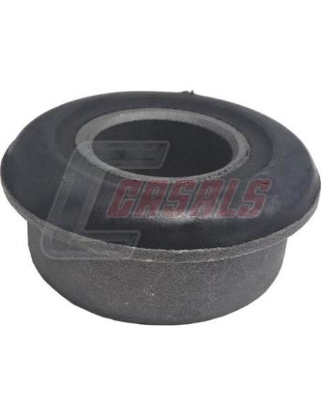 CASALS80316