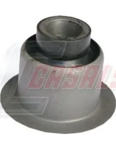 CASALS80317