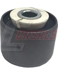 CASALS80318