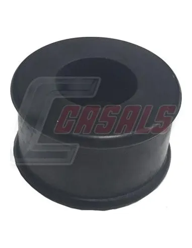 CASALS80325