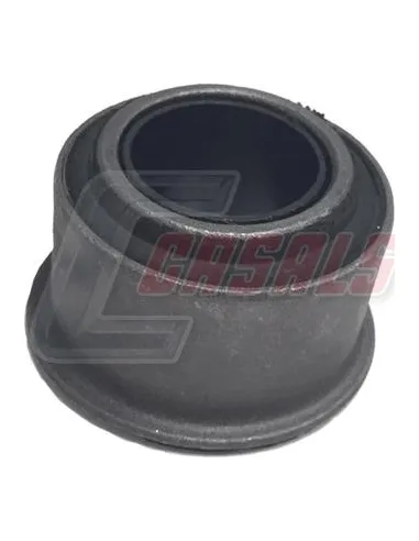 CASALS80340