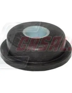 CASALS80398
