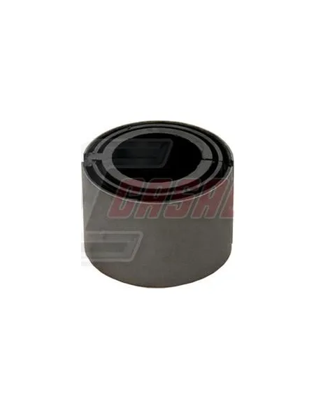 CASALS80401