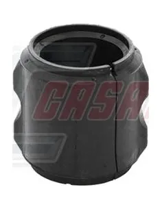 CASALS80405