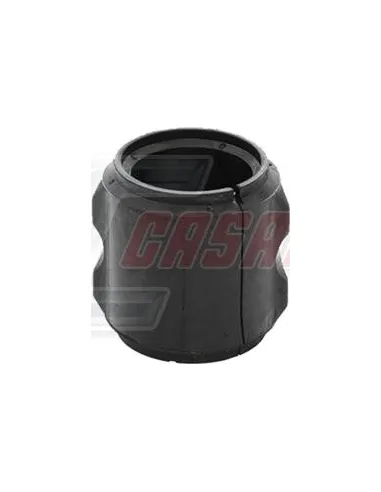 CASALS80405