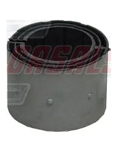 CASALS80409