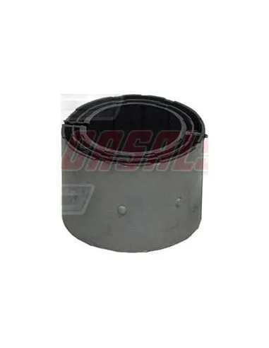 CASALS80409