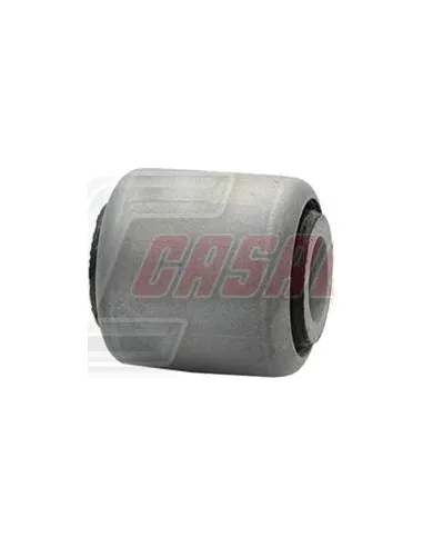 CASALS80419