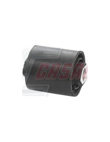 CASALS80420