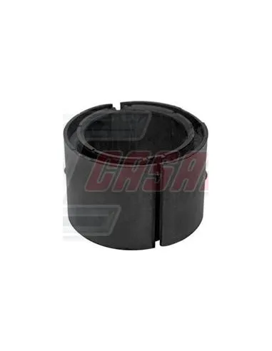 CASALS80424