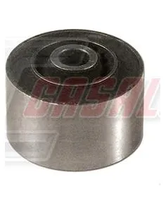 CASALS80425