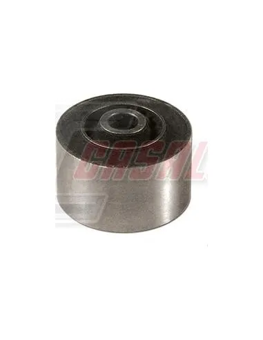 CASALS80425