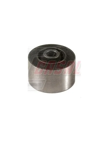 CASALS80425