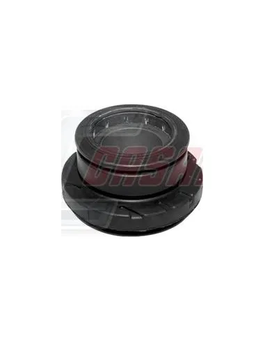 CASALS80432