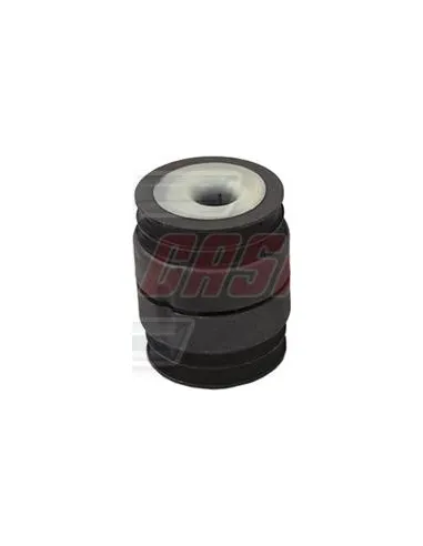 CASALS80436