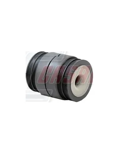 CASALS80437