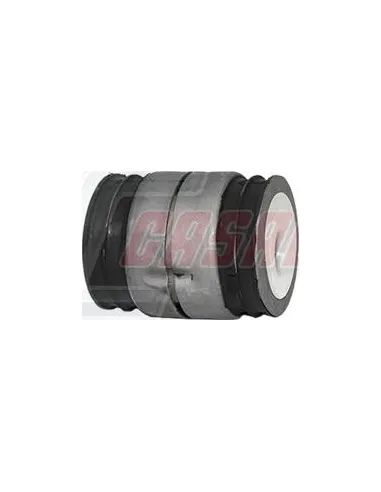 CASALS80439