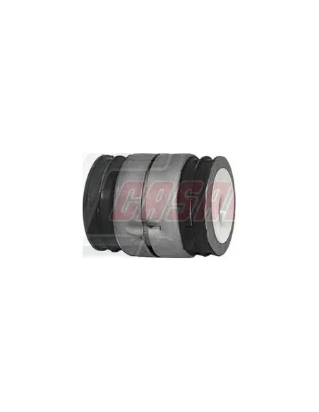 CASALS80439