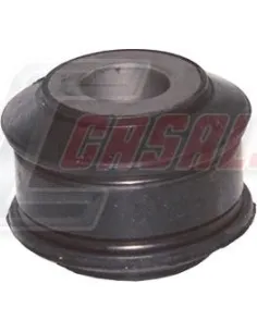 CASALS80466