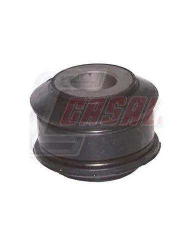 CASALS80466