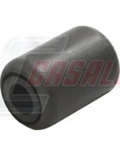 CASALS80480