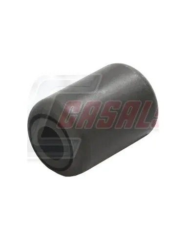 CASALS80480