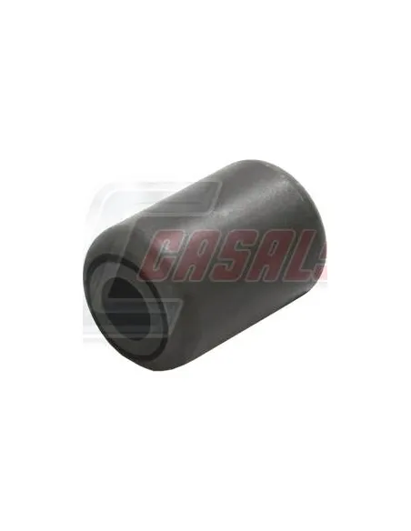 CASALS80480
