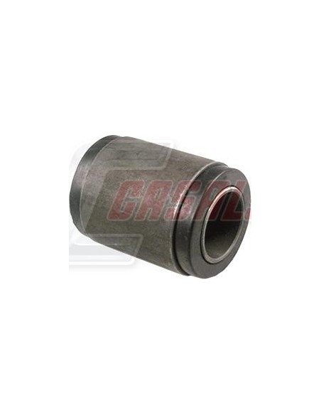 CASALS80485