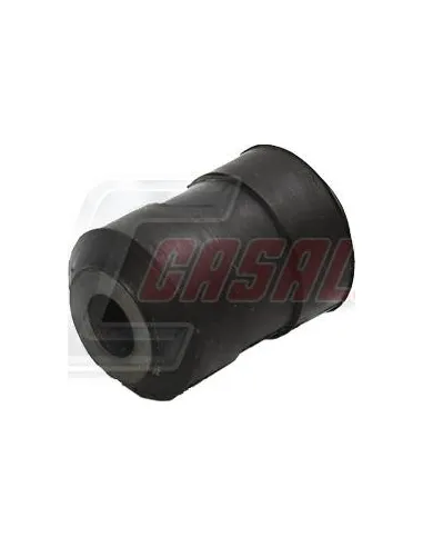 CASALS80486