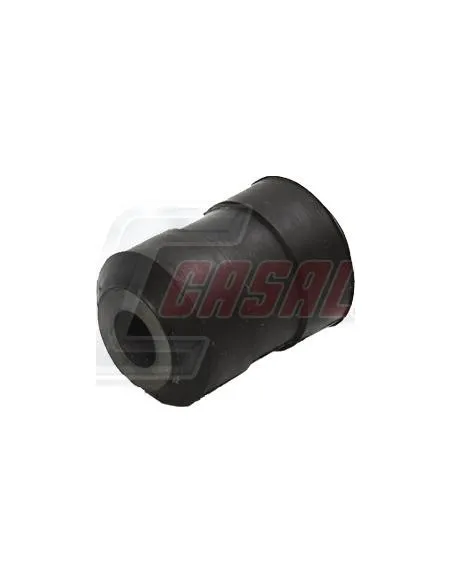 CASALS80486