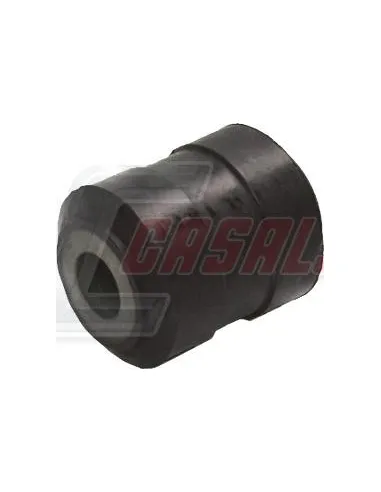 CASALS80487