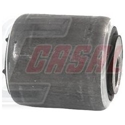 CASALS80489