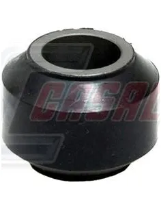 CASALS80491
