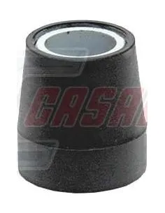 CASALS80494