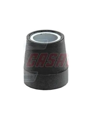 CASALS80494