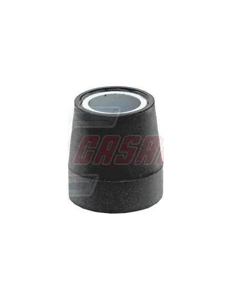 CASALS80494