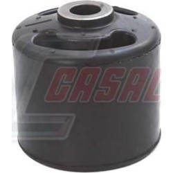 CASALS80498