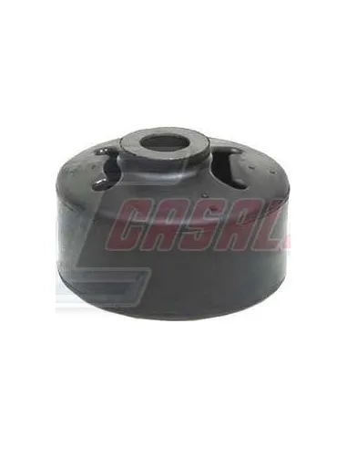 CASALS80499