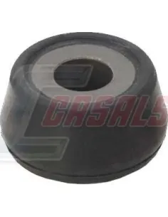 CASALS80500
