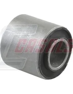 CASALS80504