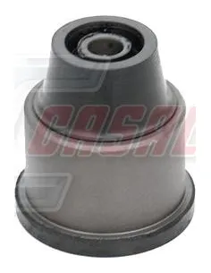 CASALS80510
