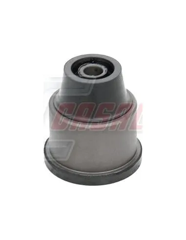 CASALS80510