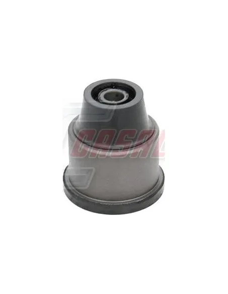 CASALS80510