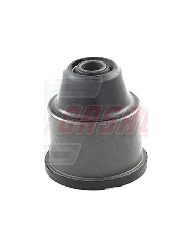 CASALS80511