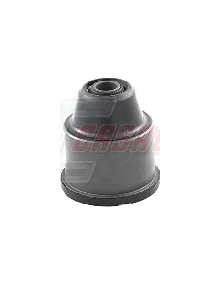 CASALS80511