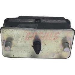 CASALS80700