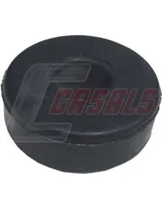 CASALS80725