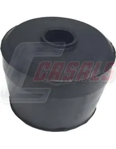 CASALS80731